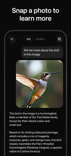 Grok AI screenshot