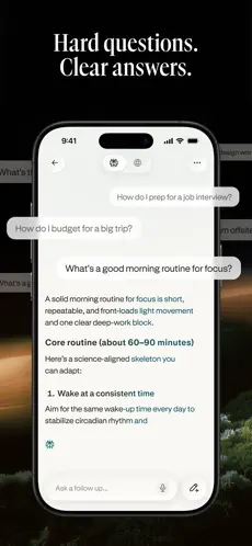 Perplexity screenshot