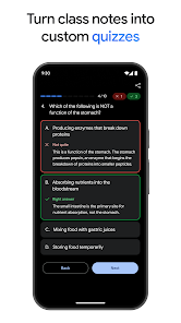 Google Gemini screenshot